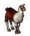 wobble llama