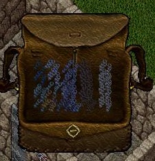 Wild Thing_12-31_12.40.jpg