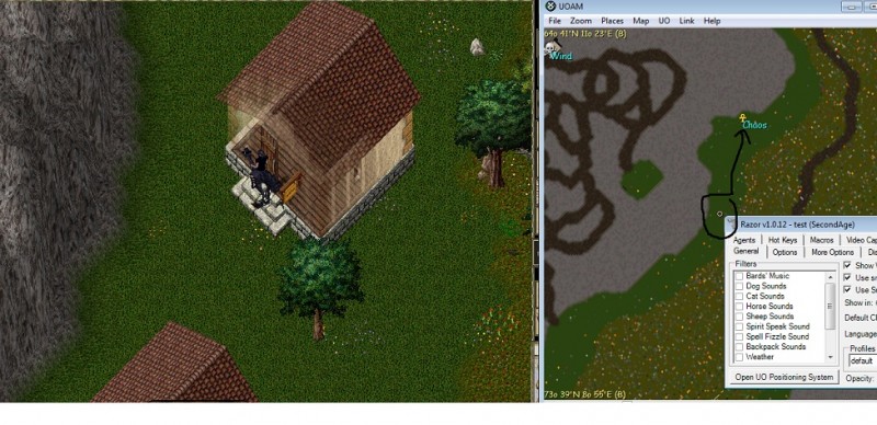 Chaos.jpg