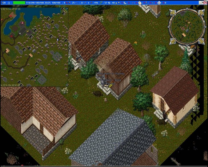 yew.jpg