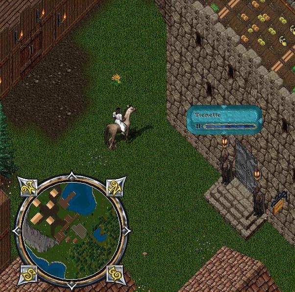 Cove Reverse Auctions.jpg