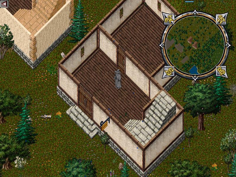 2 story yew.JPG