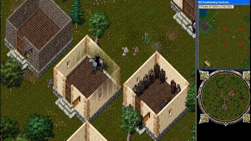 yew-mid.jpg