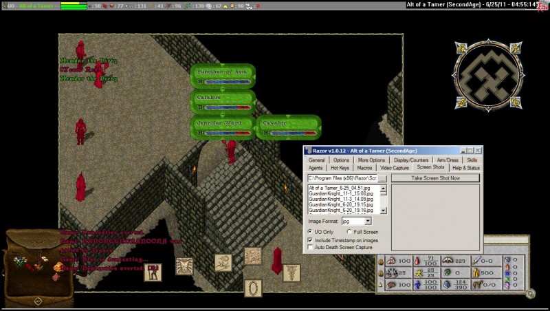 Alt of a Tamer_6-25_04.55.jpg