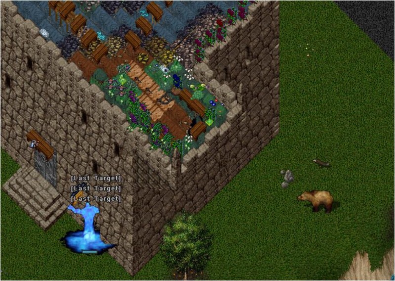 Roof 2.JPG