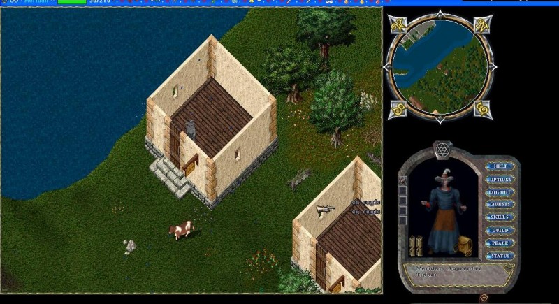 Britain blackthorne.JPG