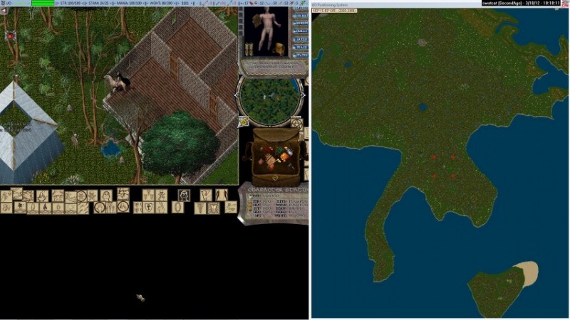 swatcat_3-10_18.10-2 (Small).jpg