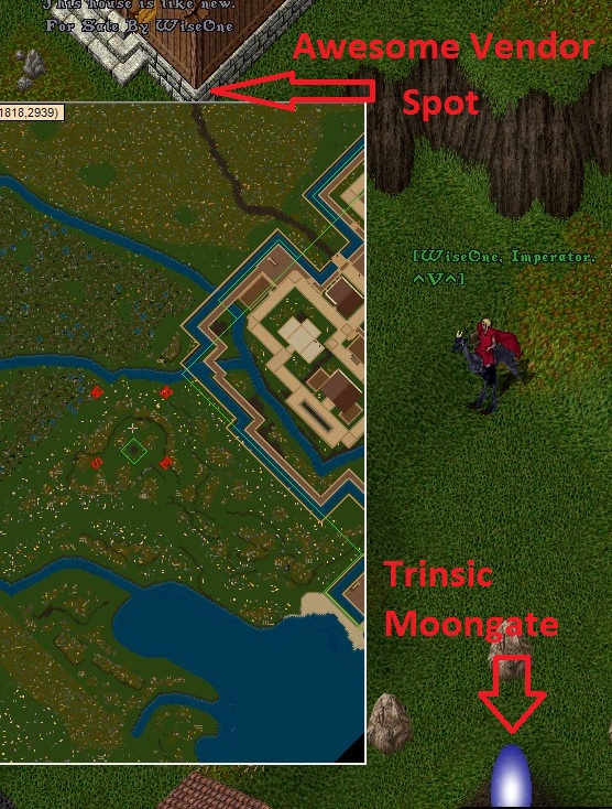 trinsic vendor.jpg