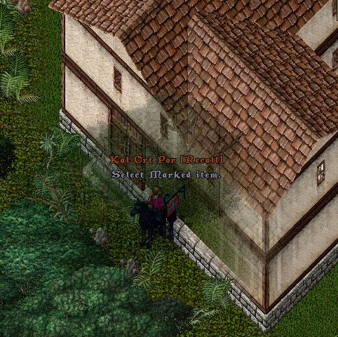 junglehidewaytrin.JPG