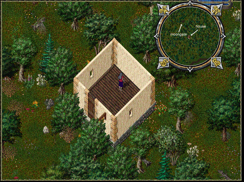 vhouse1 (Medium).gif