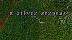 silvers.jpg
