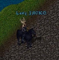 JACKO_10-7_11.50.jpg