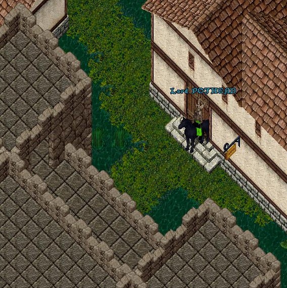 swamp L.jpg