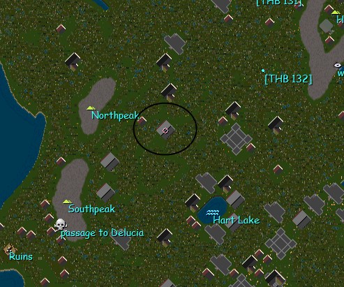 Terri large brick.jpg