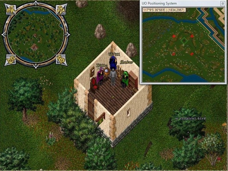 Trinsic Gate Vendors.jpg