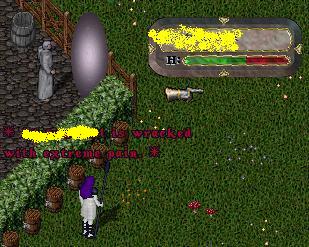 Test Server.JPG