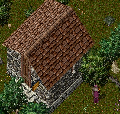 yew4.jpg