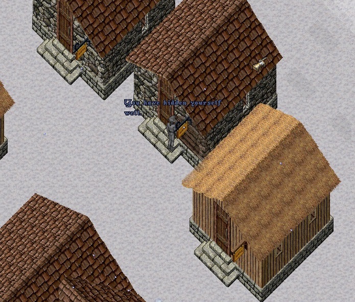 house 2.jpg