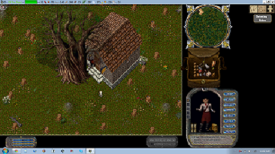 Yew tree.png