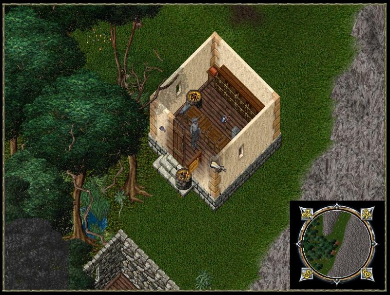 trin_jungle.JPG