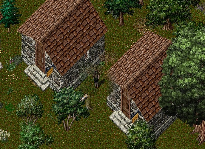 House1.jpg