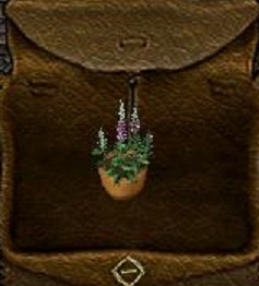 Sultan of Swing_7-1_09.48.jpg