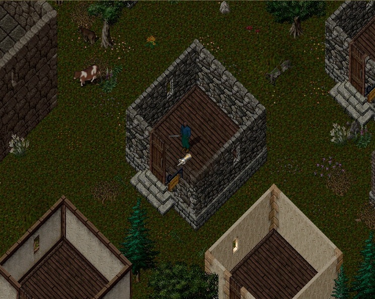 house1.jpg