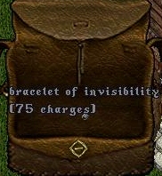 Amel-Invisibility Bracelet 75.jpg