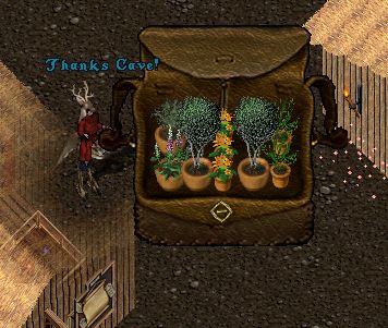 caveloot.JPG