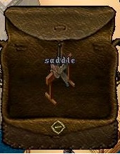 Saddle.jpg