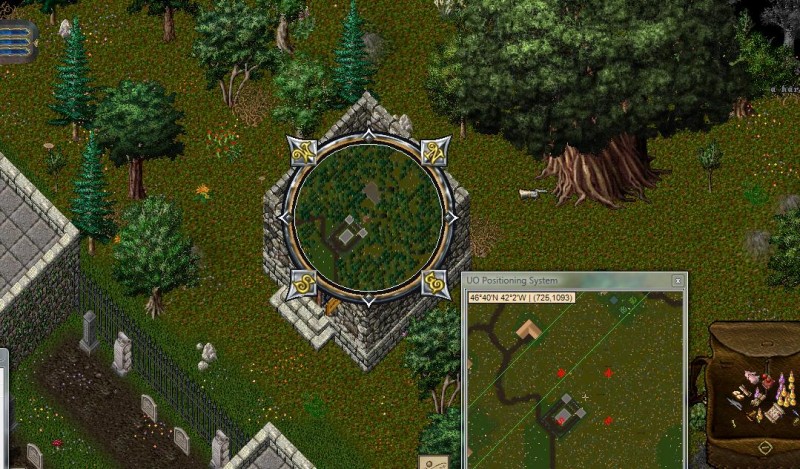 Yew GY small.jpg