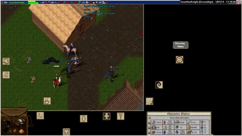 GuardianKnight_1-1_12.30.jpg