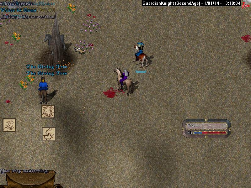 GuardianKnight_1-1_13.18.jpg