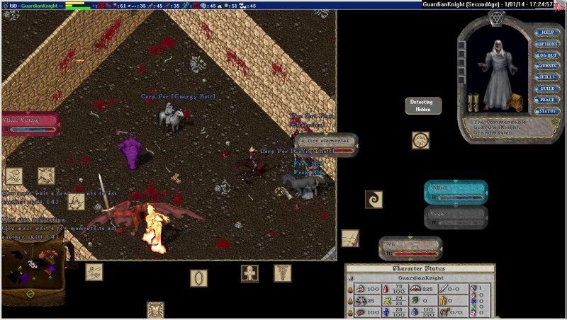 GuardianKnight_1-1_17.24.jpg