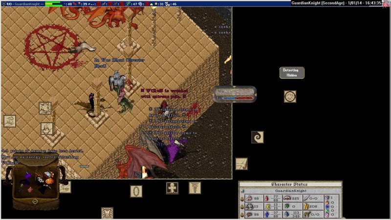 GuardianKnight_1-1_16.43.jpg