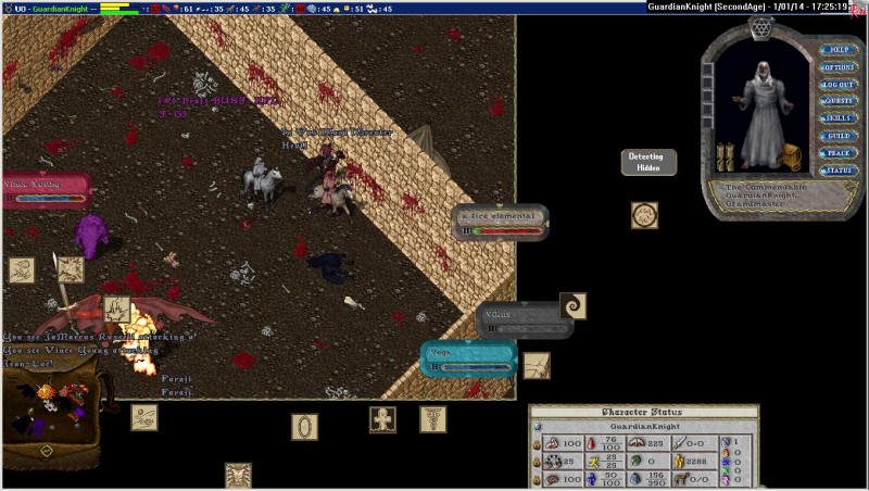 GuardianKnight_1-1_17.25-1.jpg