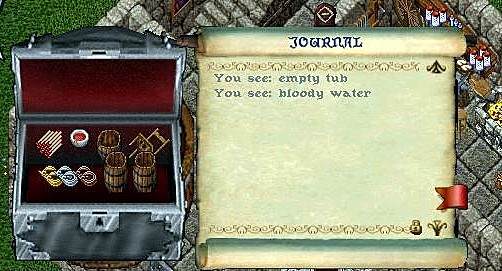 tub & bloody water.jpg