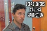 pedro1.jpg