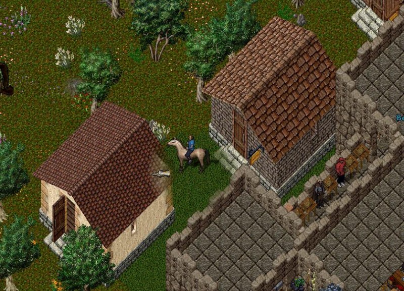 houses.JPG