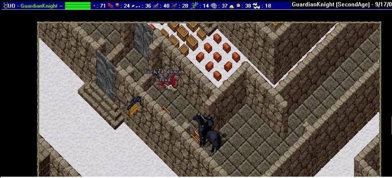 GuardianKnight_9-17_22.18.jpg