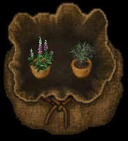 Potted Plants.png