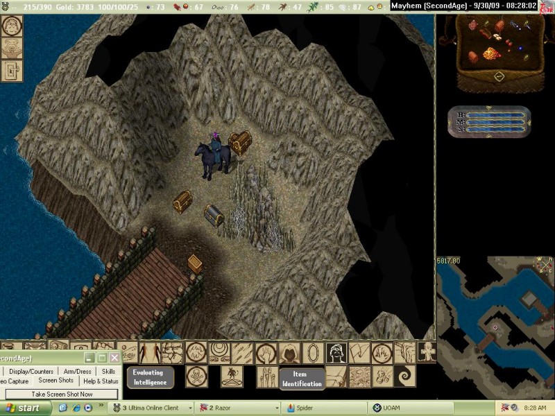 One Elder Gazer would spawn here, almost as if he was guarding the chests that spawned. This was my favorite hunting location in the whole game, because Elder Gazers dropped around 900+ gold, and had decent magic items on them, and because they could take a person all the way to Lord Status.