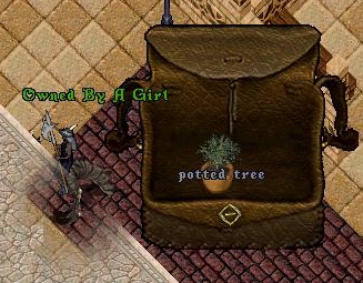 Owned By A Girl_2-19_15.58-1.jpg