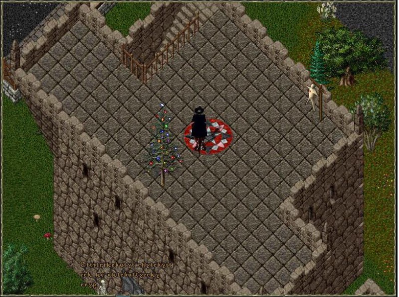 top_level.JPG