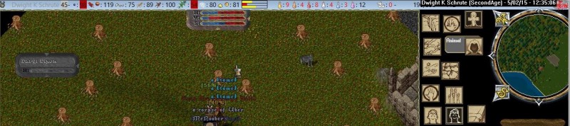dks_5-2_12.35.jpg