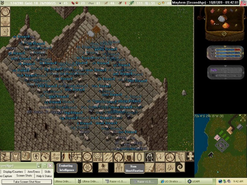 Mayhem_10-7_09.42.jpg