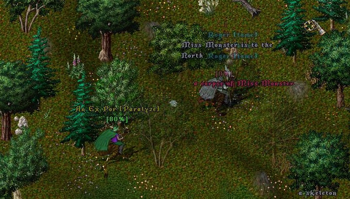 DeerBait_3-18_16.40.jpg