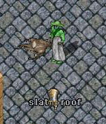 Leroy Jenkins_12-7_23.40.jpg