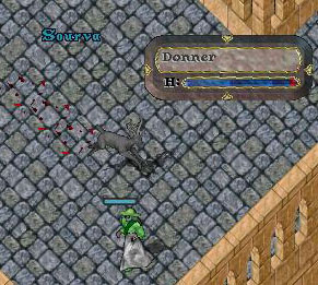Leroy Jenkins_12-7_23.31.jpg