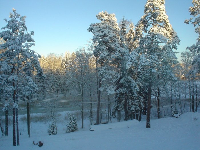 SnowDay.jpg